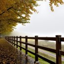 은행1공영주차장 이미지