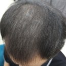 티나모 호남지사 이미지