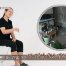 전동의신 이미지