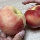 빵굼터(구로점) 이미지