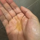 기름터지는 지성두피가 써 본 다비네스 리밸런싱 샴푸 후기