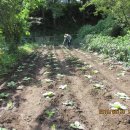 상현2농장 이미지