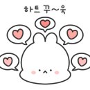 고마워토토대구