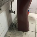 부강약국 이미지