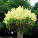 조합공인중개사사무소 이미지