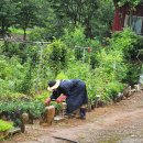 이일농장 이미지