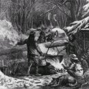 달콤한 나무 이미지