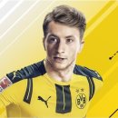 서귀포시동홍생활체육관 이미지