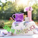 오늘에 이미지
