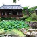 나무여행 이미지