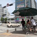 그늘막28 이미지