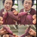 네일앤모어