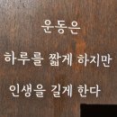 장안검도관 이미지