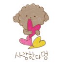 스마일애견미용 이미지