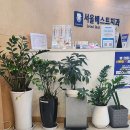 베스트치과의원 이미지