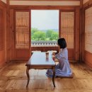 2025년9월11일(목)철원 고석정가을꽃축제와 임진각댑사리공원&amp;장독대한옥카페 세라비!! 10.000원 입금순마감 이미지