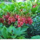 오늘의 찬 이미지