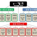 딸기 고품질을 위한 해조추출물(e-켈프) 활용 방법 이미지