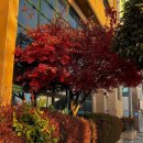 전정표한의원 이미지