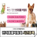 미즈펫 | 2024 반려동물박람회 벡스코 펫페어 일정 무료입장 사전등록방법