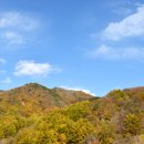 삼정펜션 이미지