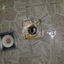 영광당구장 이미지