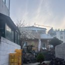올래민박 | 제주도 이호테우해변 게스트하우스 [이호웨이브] 내돈내산 후기