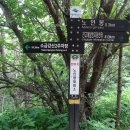 오대산 노인봉(1,338m). 노인봉-소금강(낙영폭포-백운대-만물상-구룡폭포-식당암-무릉계) 이미지