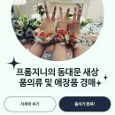 프롬지니 이미지