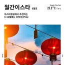 이스타 이미지