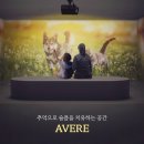 포포즈 반려동물 장례식장 경기광주점 이미지