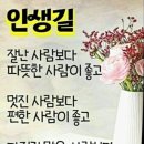 모임방 Daum카페