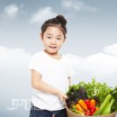 셈틀 이미지