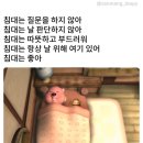 2025년 2월을 보내며
