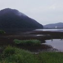 반월-8 Daum카페