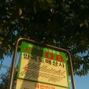 양곡상사 이미지