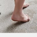 다솔디자인 이미지