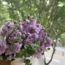 건민약국 | 건대호수걷자고꼬셔ㅣ호야초밥-하늘플라워-포인트카페-비에이치테이블