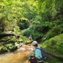 고병계곡 | 아침가리골 말고 여기가 더 좋은데? 추천 계곡 트레킹. 정선 '고병계곡'