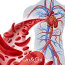 도움pt | [연신내 헬스장] 80대 하지정맥류 PT후기