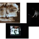 덕성초등학교병설 이미지