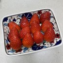 25년 1월 마지막 날, 설연휴 돌아보기