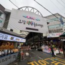 죽도시장 공영주차장 | [ 포항 주차 꿀팁 ] 죽도시장 공영주차장 이용하면 대게·회거리, 먹거리까지 편리하게!