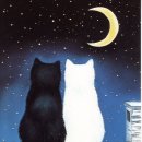 별똥별피아노 이미지