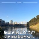 5코스 | 도쿄 러닝코스 추천 | 도쿄 황궁런 5km 아침 러닝 후기