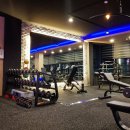 BODY-GYM 이미지