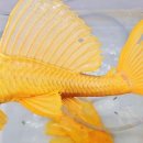 봉곡동083 이미지