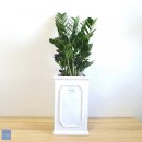 브리스 플랜트