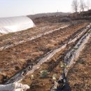 고은농장 이미지