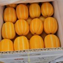 소문난공판장 이미지